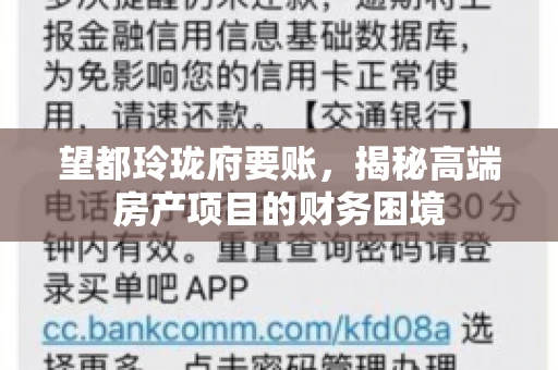 望都玲珑府要账，揭秘高端房产项目的财务困境
