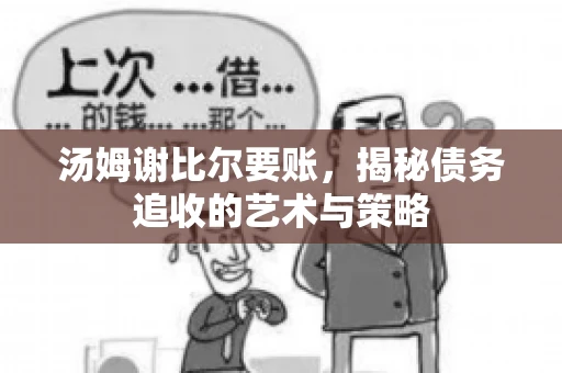 汤姆谢比尔要账，揭秘债务追收的艺术与策略
