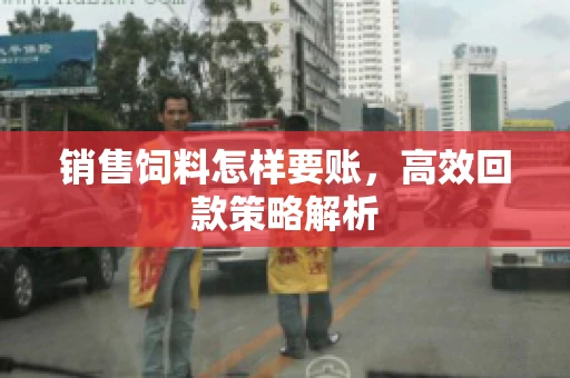 销售饲料怎样要账，高效回款策略解析