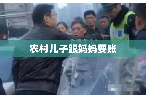 农村儿子跟妈妈要账