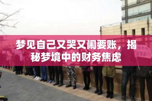 梦见自己又哭又闹要账，揭秘梦境中的财务焦虑