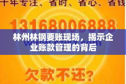 林州林钢要账现场，揭示企业账款管理的背后