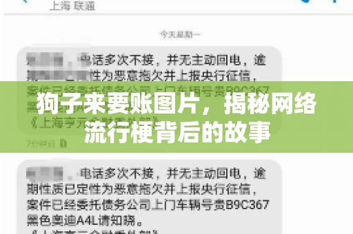 狗子来要账图片，揭秘网络流行梗背后的故事