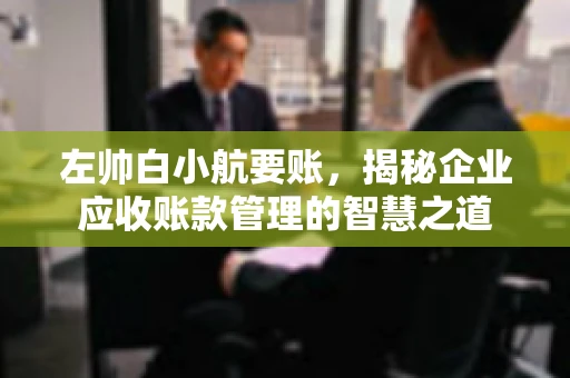 左帅白小航要账，揭秘企业应收账款管理的智慧之道