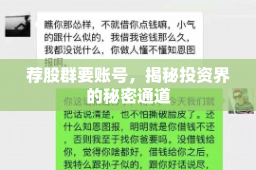荐股群要账号，揭秘投资界的秘密通道