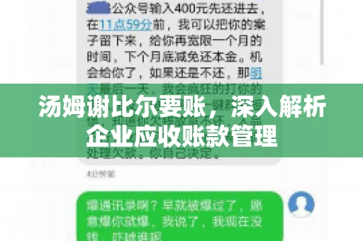 汤姆谢比尔要账，深入解析企业应收账款管理