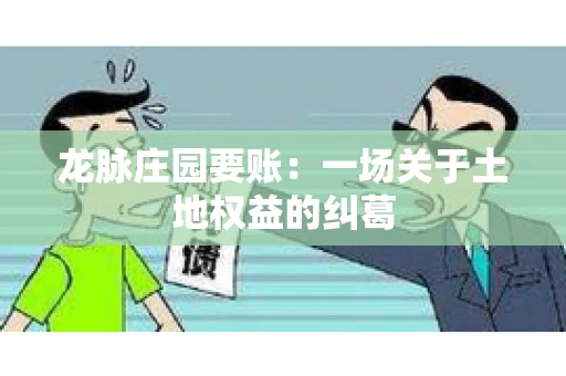 龙脉庄园要账：一场关于土地权益的纠葛