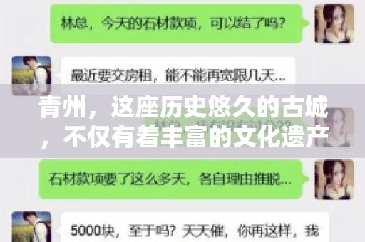 青州，这座历史悠久的古城，不仅有着丰富的文化遗产，也是商业活动频繁的地方。对于许多企业来说，应收账款的管理是日常运营中不可或缺的一环。那么，青州那里有要账的公司呢？今天，我们就来聊聊这个话题。