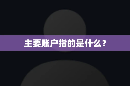 主要账户指的是什么？
