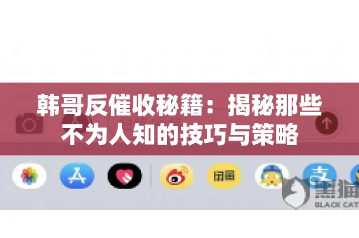 韩哥反催收秘籍：揭秘那些不为人知的技巧与策略