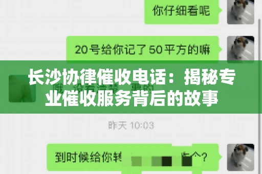 长沙协律催收电话：揭秘专业催收服务背后的故事