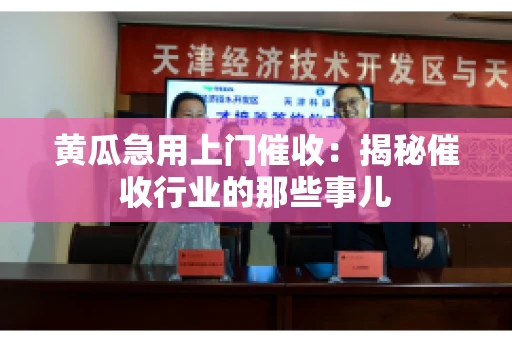 黄瓜急用上门催收：揭秘催收行业的那些事儿
