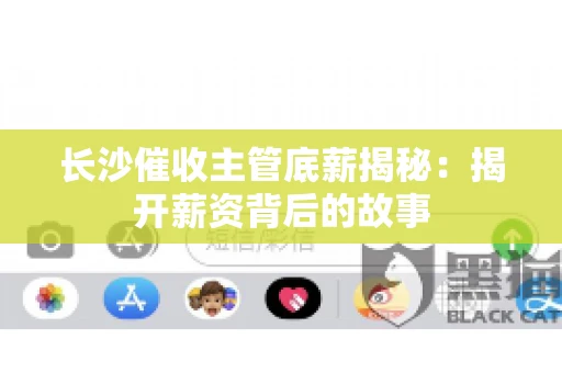 长沙催收主管底薪揭秘：揭开薪资背后的故事